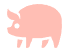 Contains Pork
